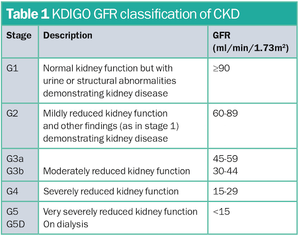 Best Diet For Stage 1 Kidney Disease